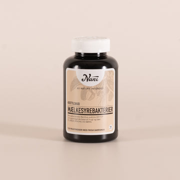 Nani mælkesyrebakterier i en base af frugt og bær