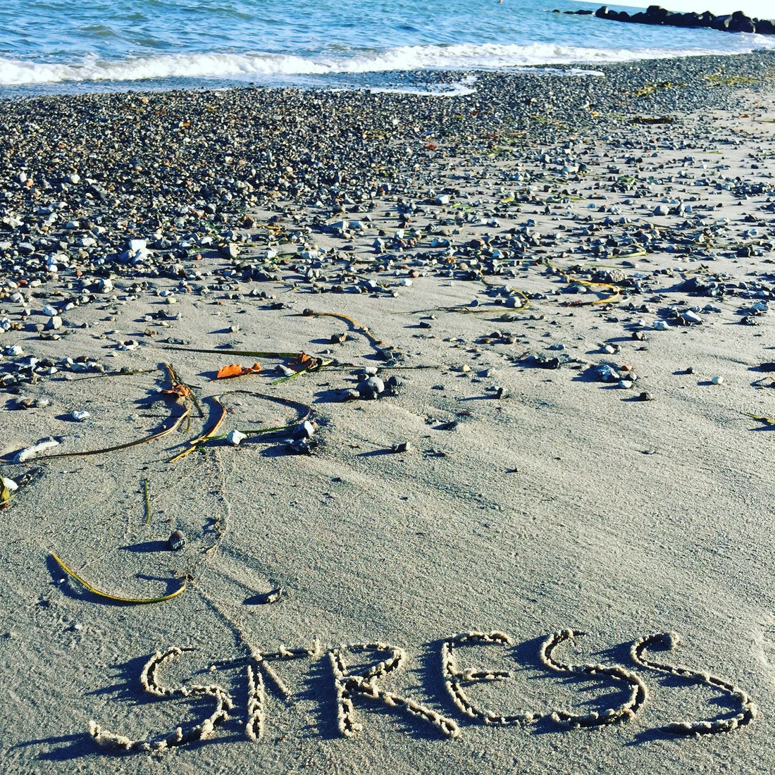 strand med sten og skaller