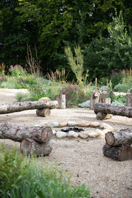 Bålplads med træstubbe