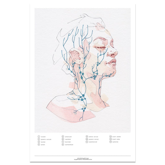 Art By Orioll Angrill | Facial Lymphatic System (Limited edition)