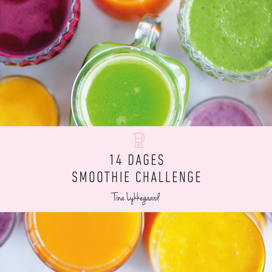 Tina Lykkegaard | 14 dages online smoothies challenge E-bog